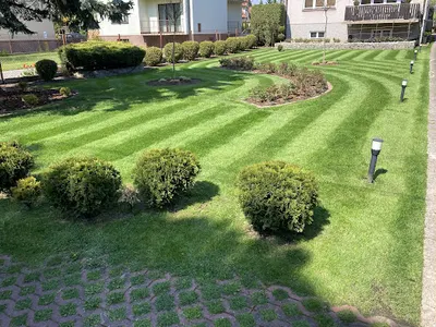 Saffron Profesjonalne Usługi Ogrodnicze